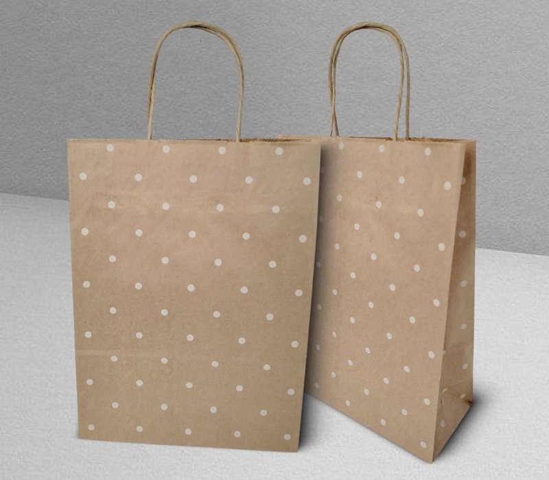 Подарочный пакет с кручеными ручками крафт 240x105x320 "Горошек"