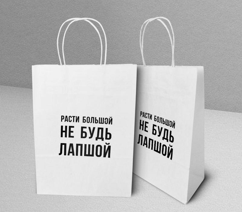 Подарочный пакет с кручеными ручками белый 240x105x320 "Расти большой"