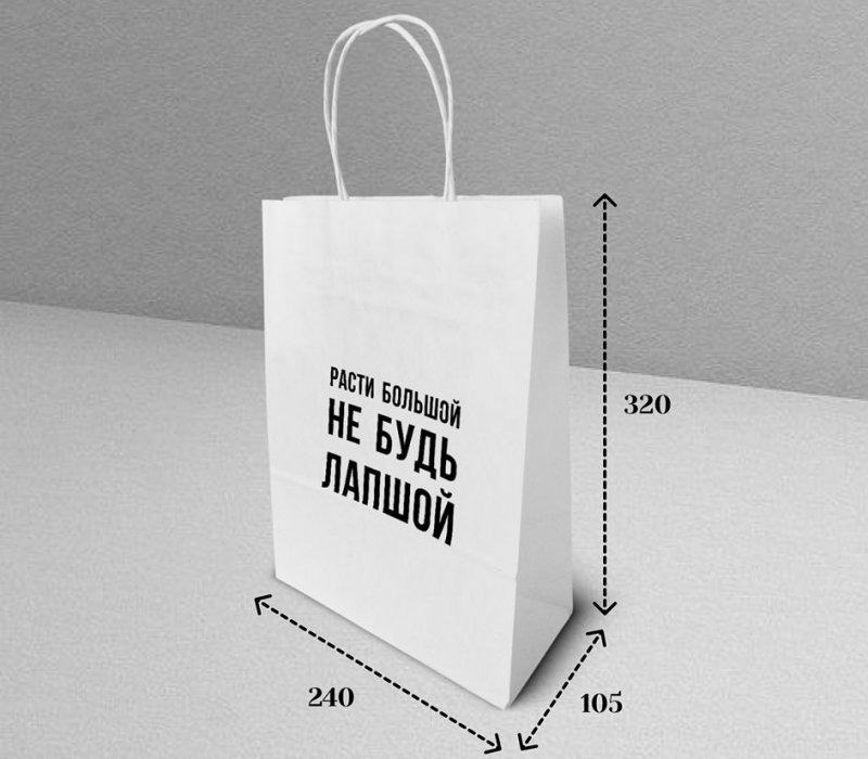 Подарочный пакет с кручеными ручками белый 240x105x320 "Расти большой"