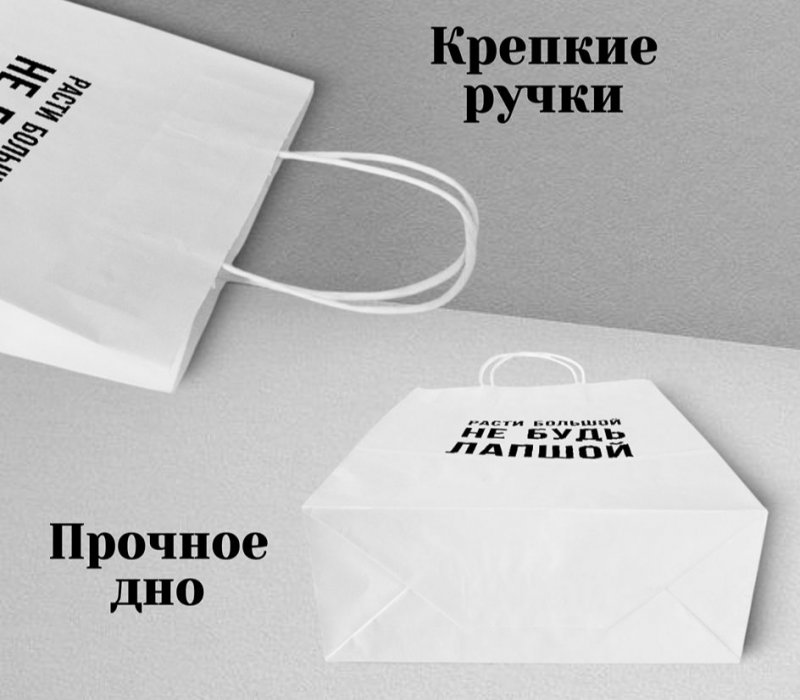 Подарочный пакет с кручеными ручками белый 240x105x320 "Расти большой"