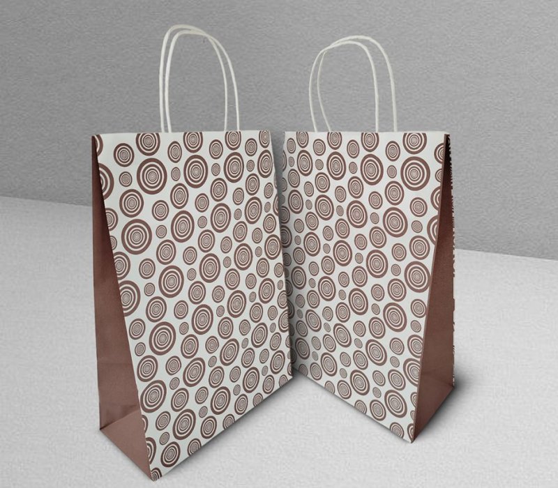 Подарочный пакет с кручеными ручками белый 240x105x320 "Круги"
