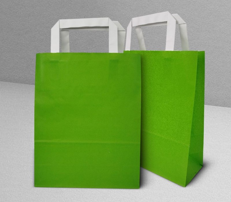Подарочный пакет с плоскими ручками 200x100x250 "Салатовый"