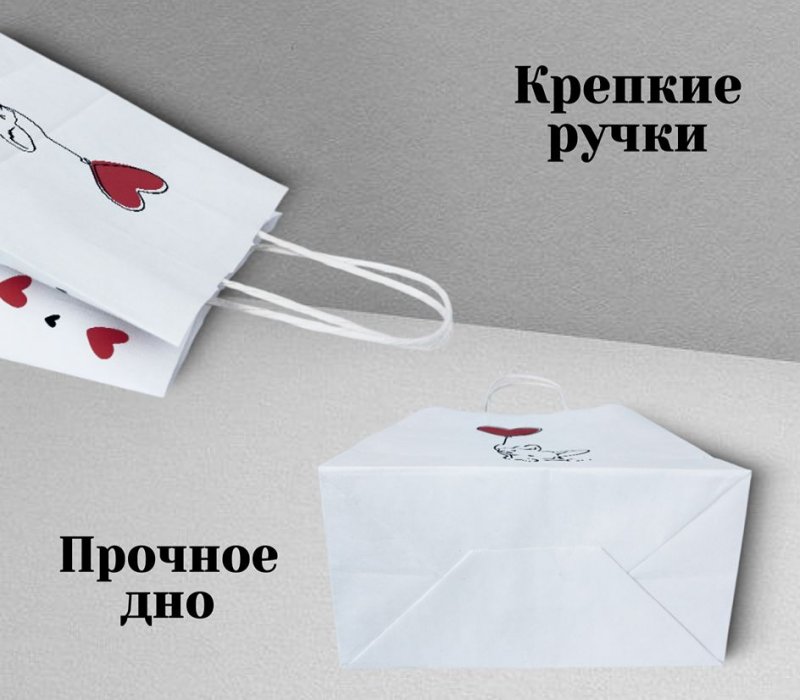 Подарочный пакет с кручеными ручками 220x120x250 "Корги"