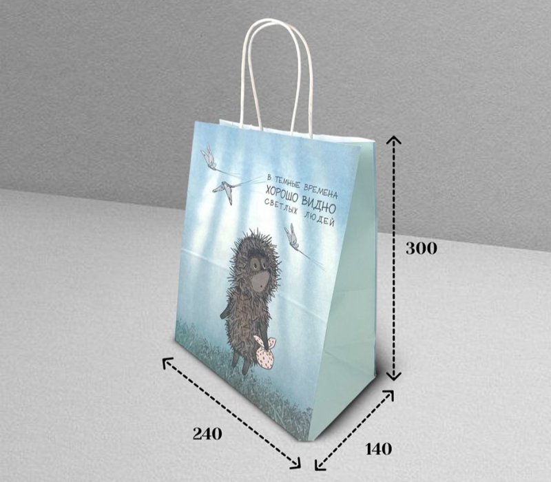 Подарочный пакет с кручеными ручками белый 240x140x300 "Ежик в тумане. В темные времена" внутри белый