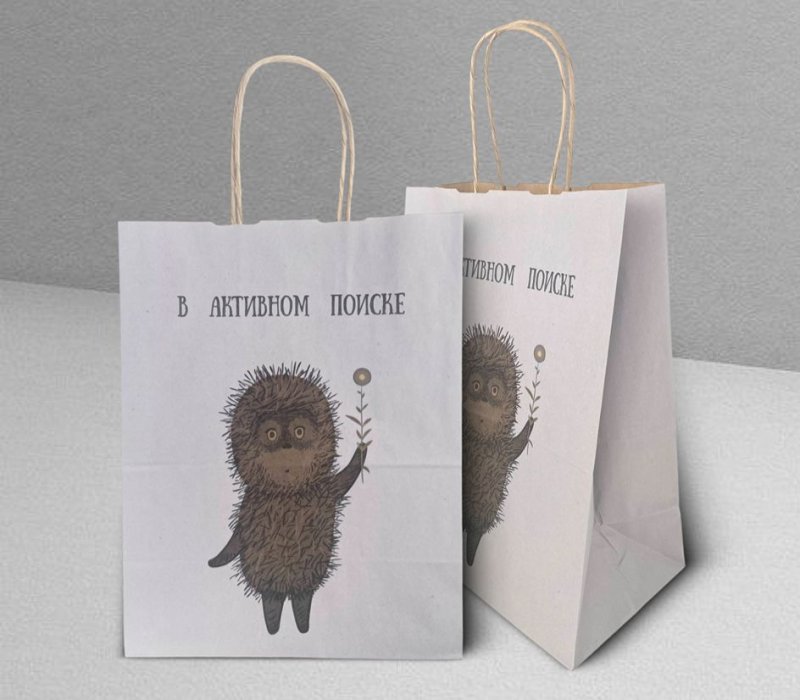 Подарочный пакет с кручеными ручками белый 240x140x300 "Ежик в тумане. В активном поиске" внутри бурый