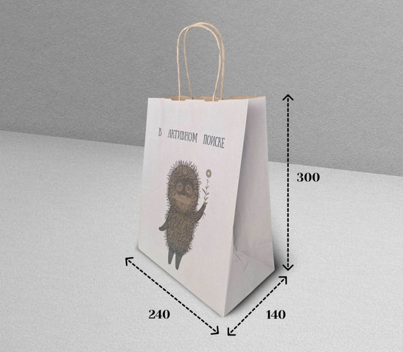 Подарочный пакет с кручеными ручками белый 240x140x300 "Ежик в тумане. В активном поиске" внутри бурый