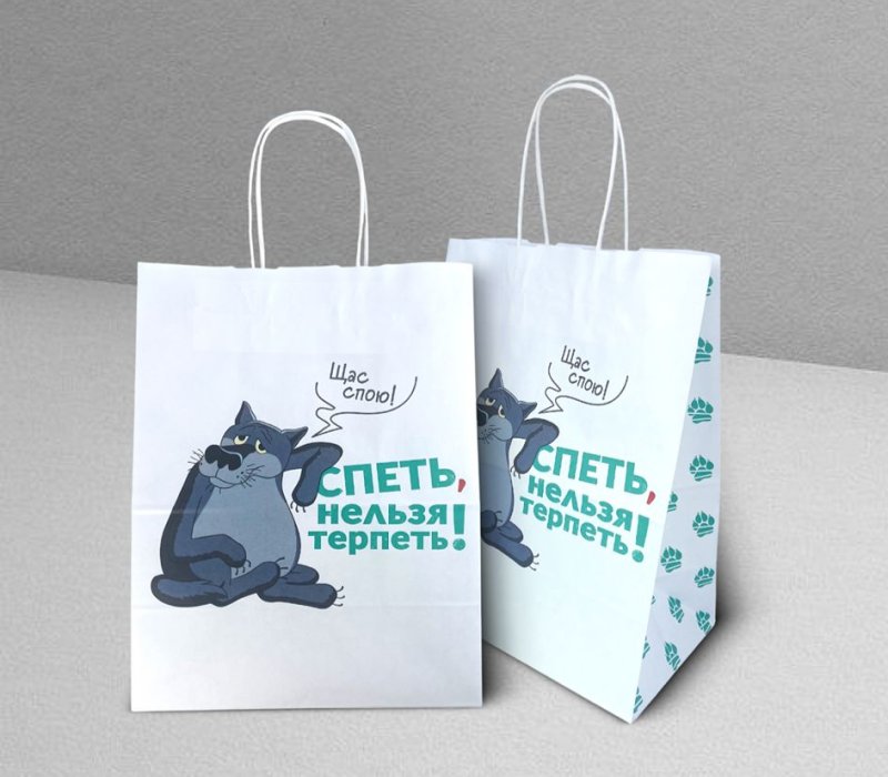 Подарочный пакет с кручеными ручками белый 240x140x300 «Жил был Пес. Щас спою» внутри белый