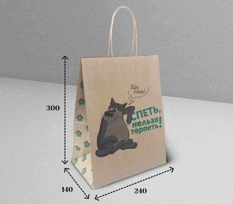 Подарочный пакет с кручеными ручками белый 240x140x300 «Жил был Пес. Щас спою» внутри бурый