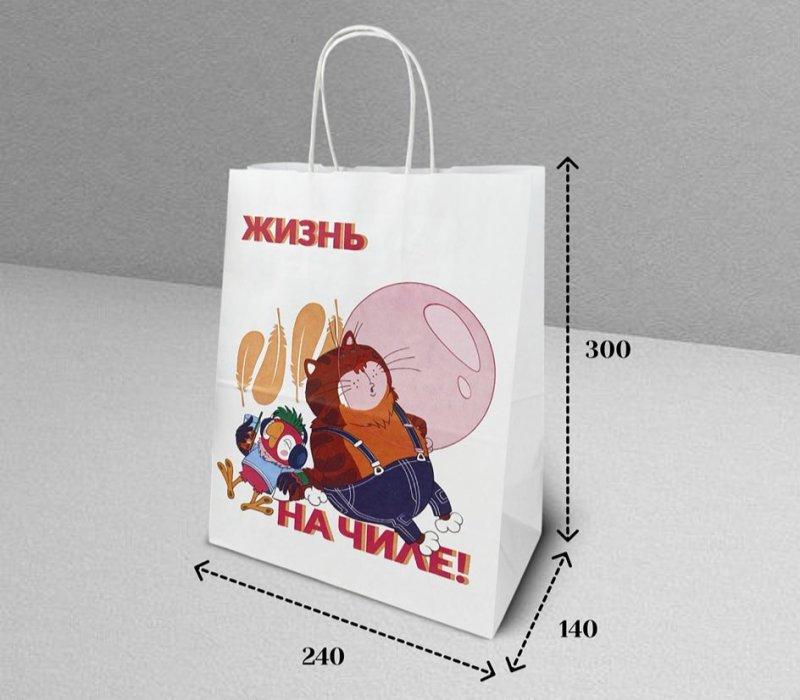 Подарочный пакет с кручеными ручками белый 240x140x300 «Попугай Кеша. На чиле»  внутри белый